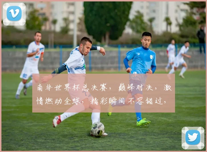 南非世界杯总决赛，巅峰对决，激情燃动全球，精彩瞬间不容错过，共赴盛宴