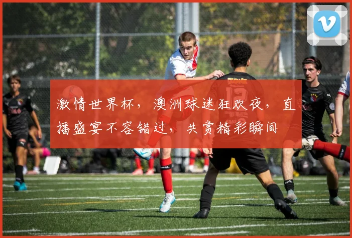 激情世界杯，澳洲球迷狂欢夜，直播盛宴不容错过，共赏精彩瞬间
