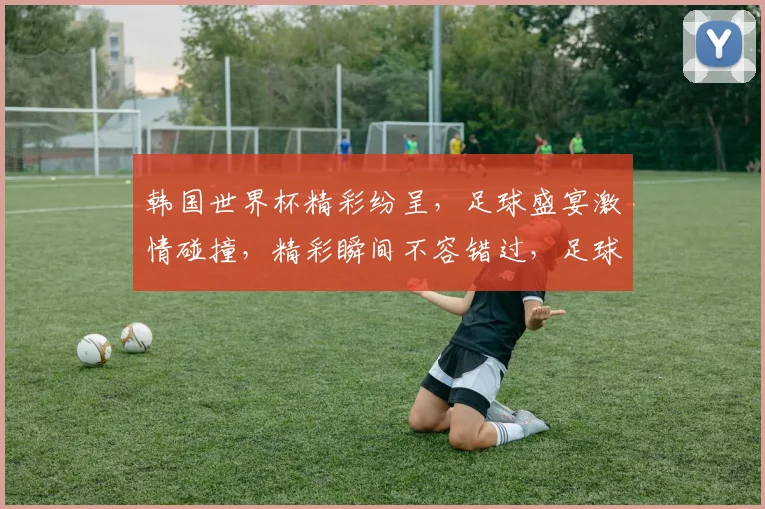 韩国世界杯精彩纷呈，足球盛宴激情碰撞，精彩瞬间不容错过，足球迷必看