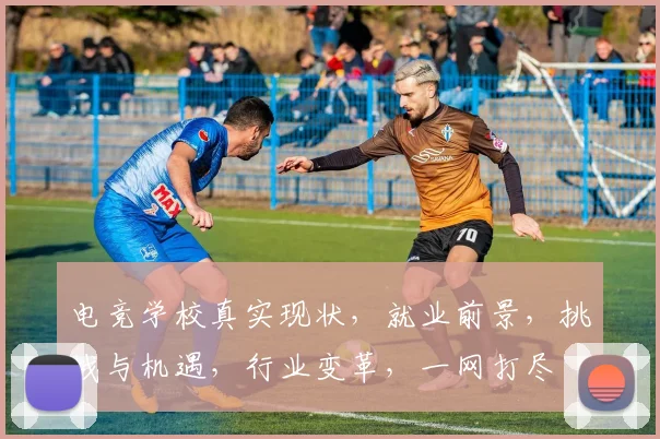 电竞学校真实现状，就业前景，挑战与机遇，行业变革，一网打尽